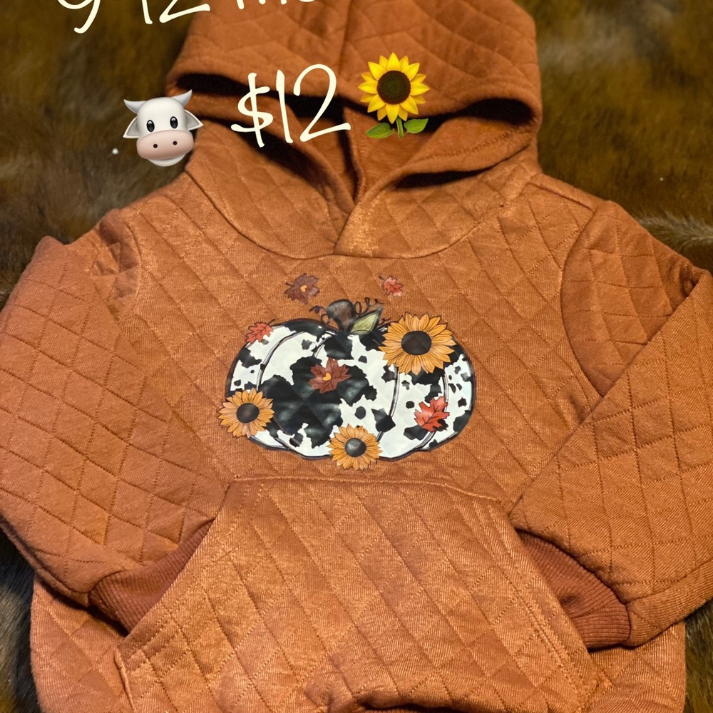 Infant 9-12 month hooded sweatshirt